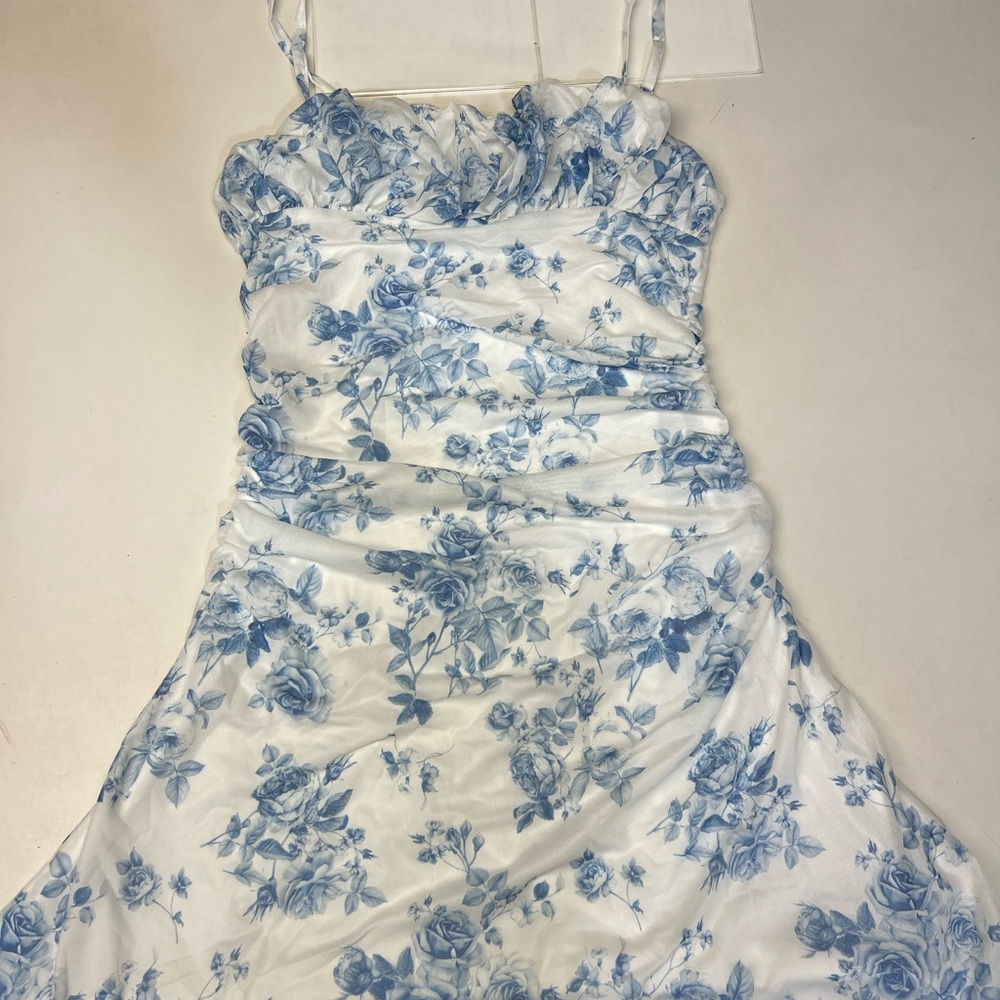 Floral Blue and White Dress
